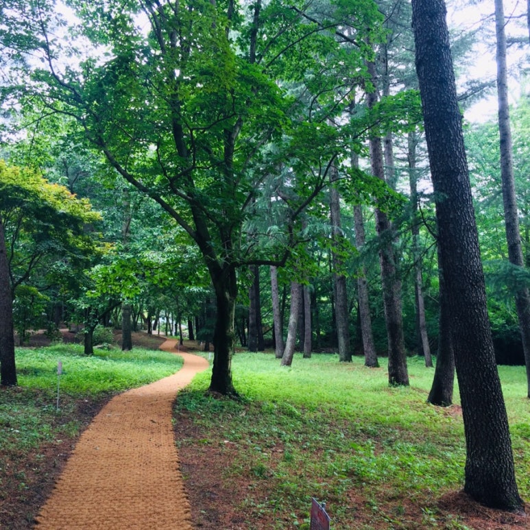 직지민박 이미지
