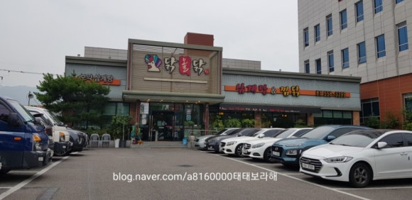 닭올닭찜닭 이미지