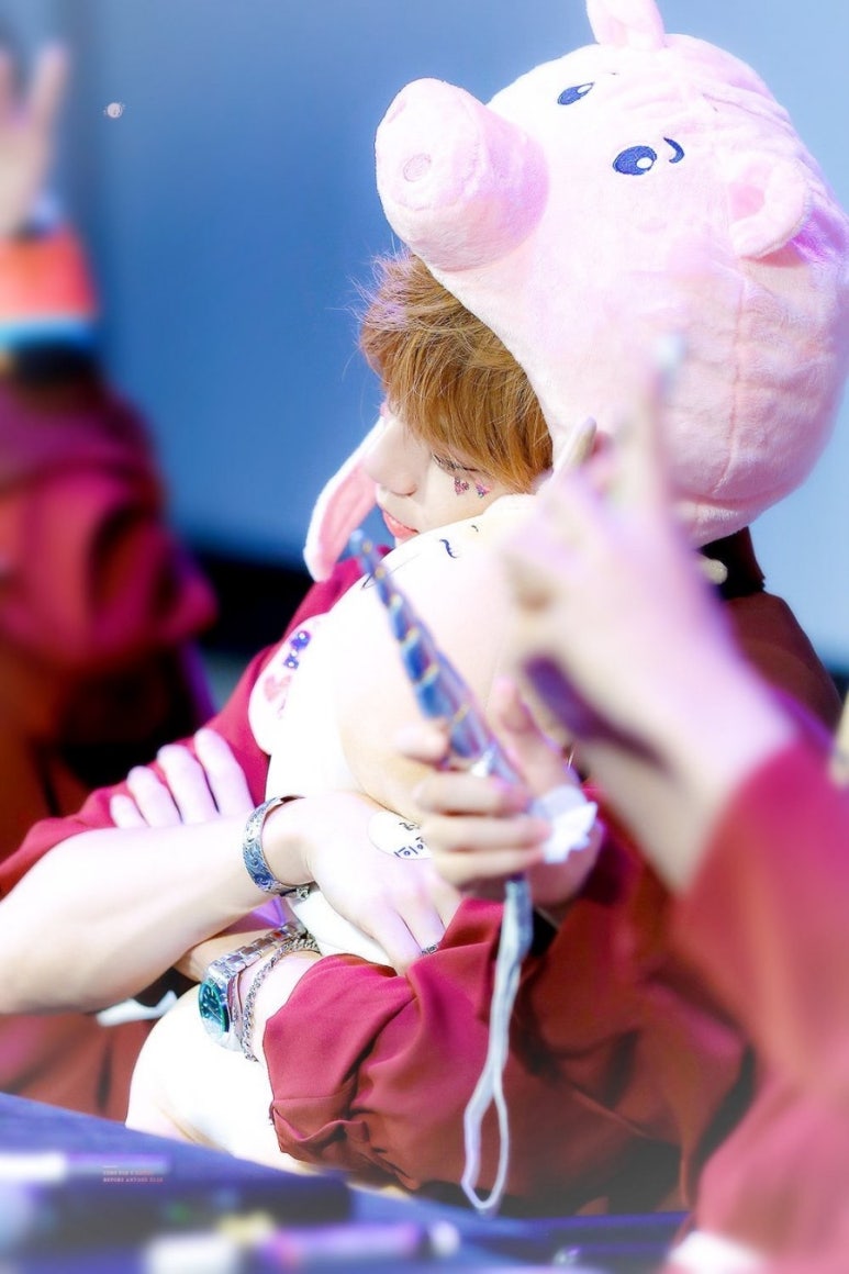 설레 이미지