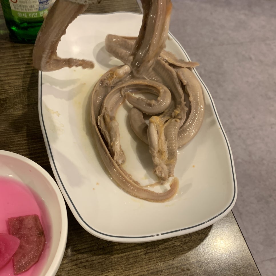 꼼장어와춤을 이미지