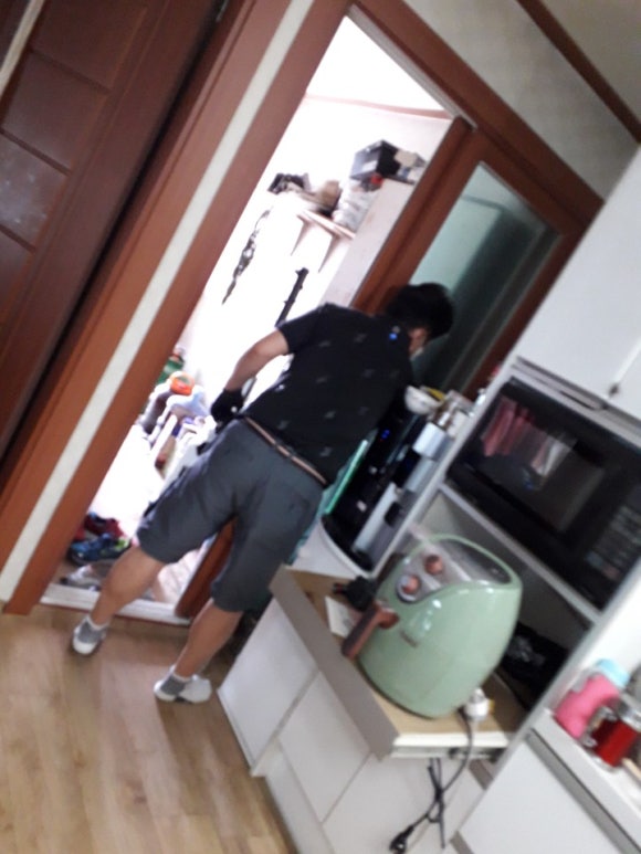 개미청소 이미지