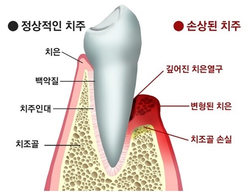 서울굿모닝치과 이미지