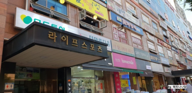 피지참치 이미지