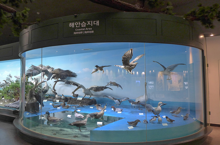 (유)제주로여행 이미지