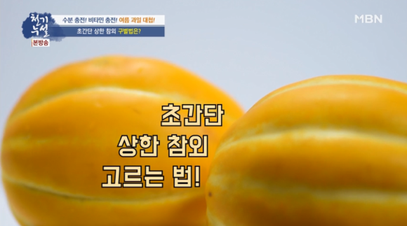 쌍둥이과일 이미지
