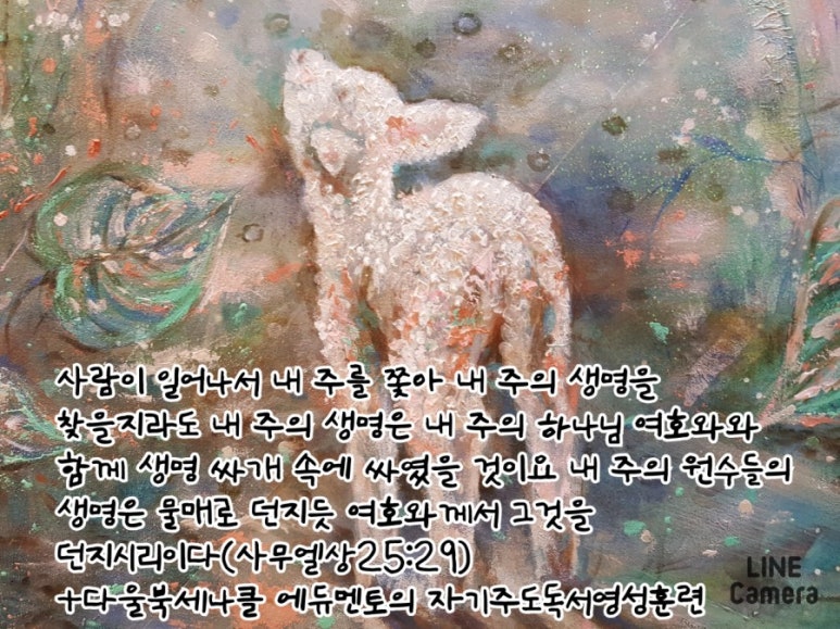 다울에듀 이미지