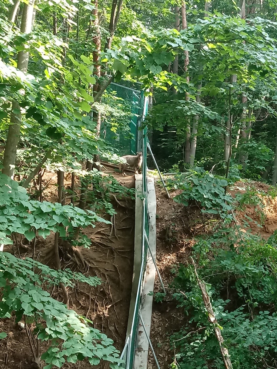 인제인력사무소 이미지
