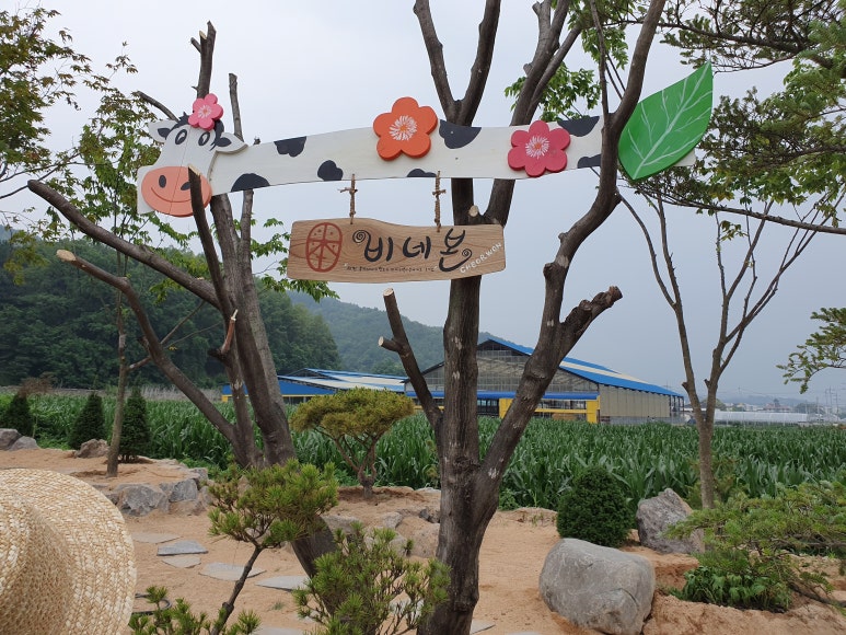 본해피 이미지