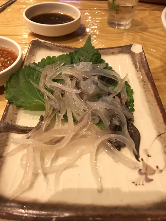 오징어세상 이미지