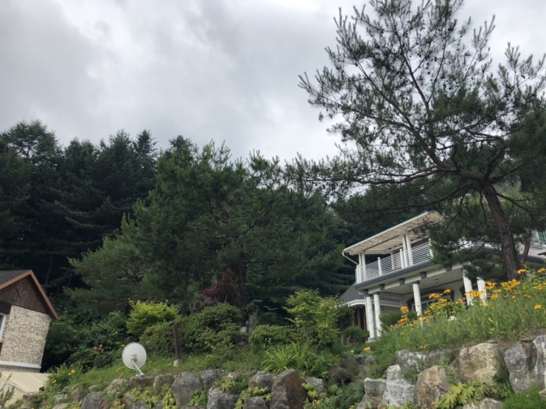 비발디스케치북 이미지