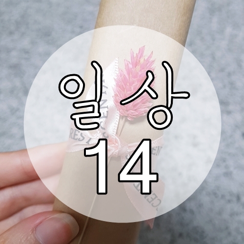 센트레스트 이미지