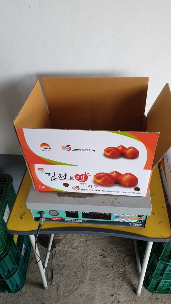 강가네농장 이미지
