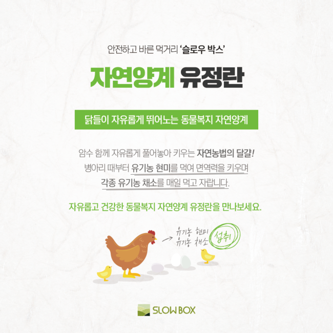 슬로우박스 이미지
