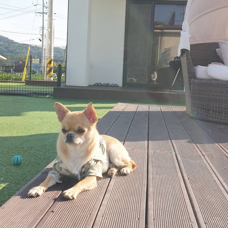 (주)두리에너지 이미지