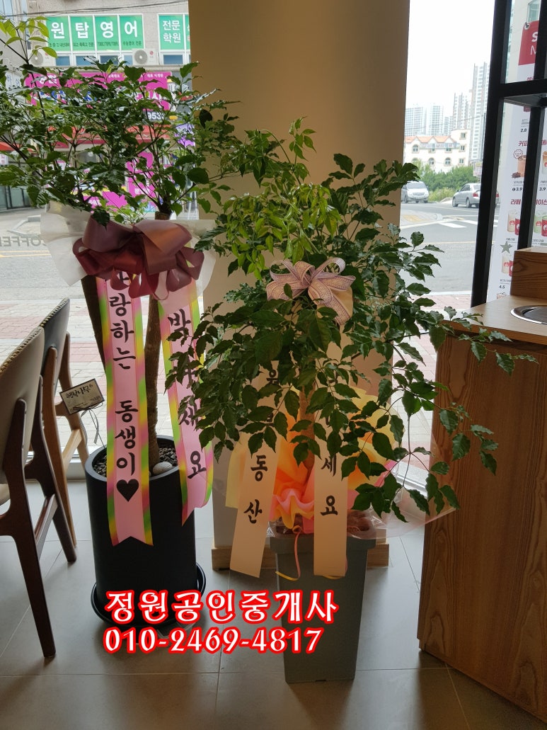셀렉토커피전주 이미지