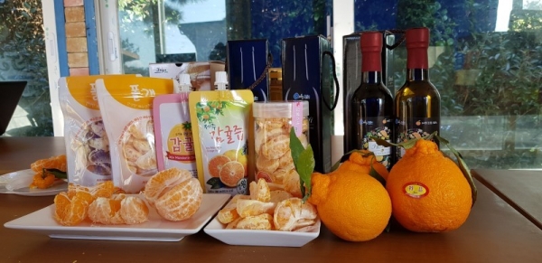 사회적협동조합제주로 이미지