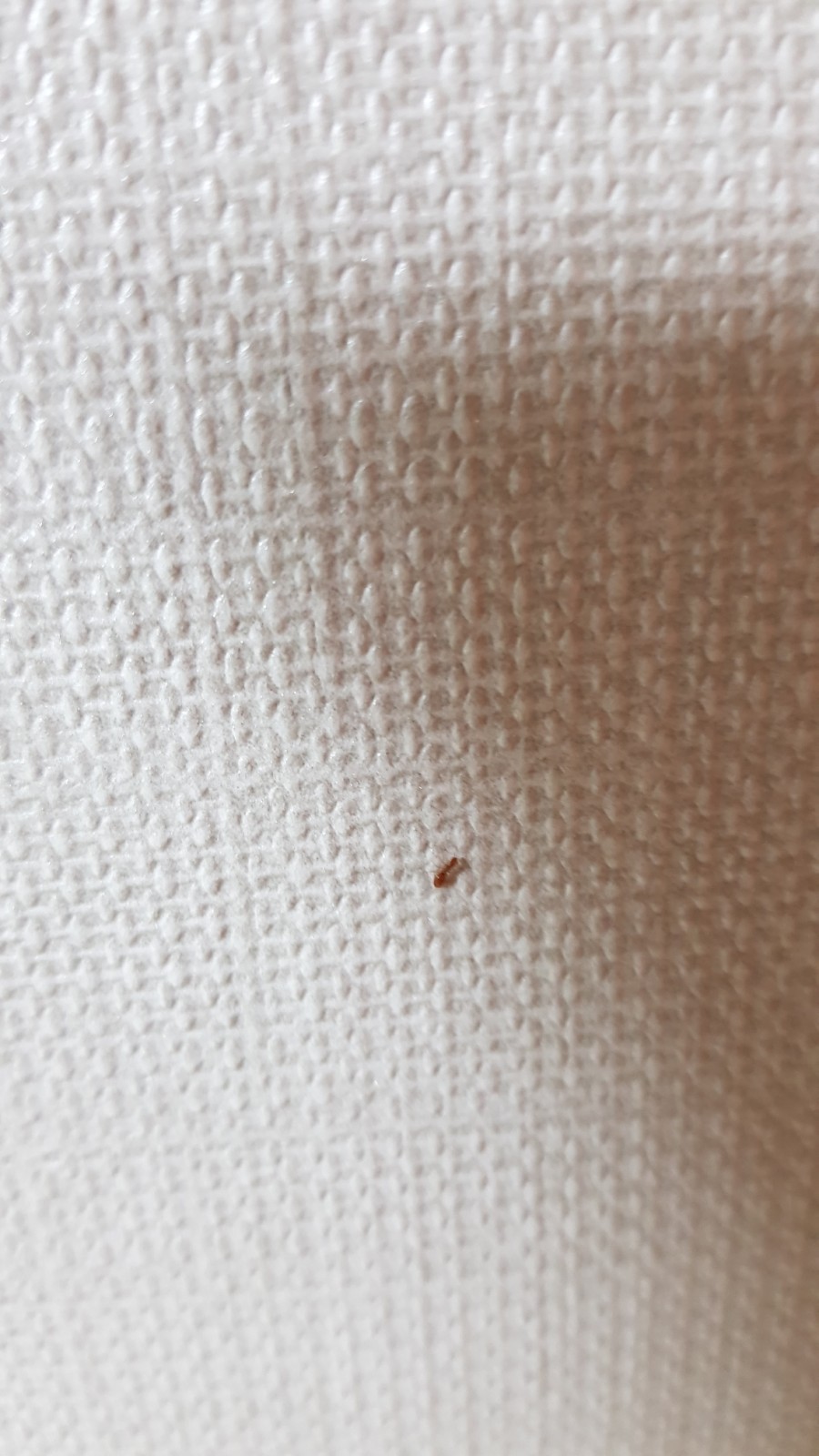 부흥침구 이미지
