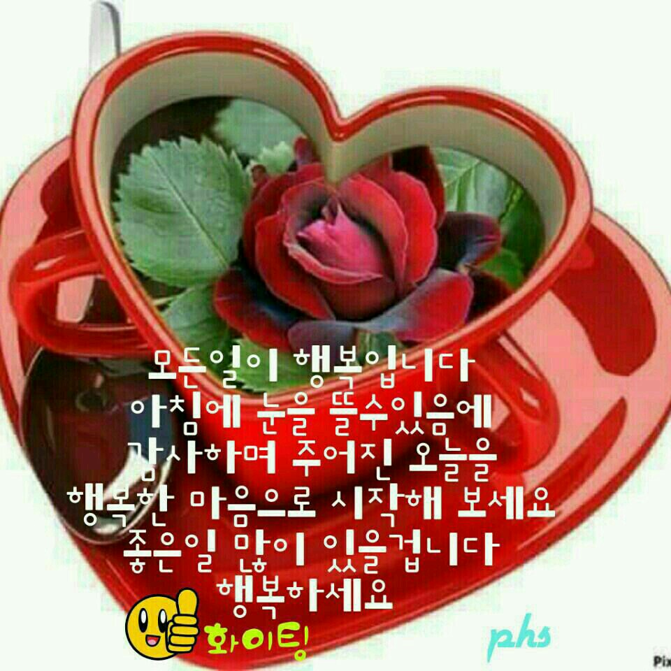 친환경케어 이미지