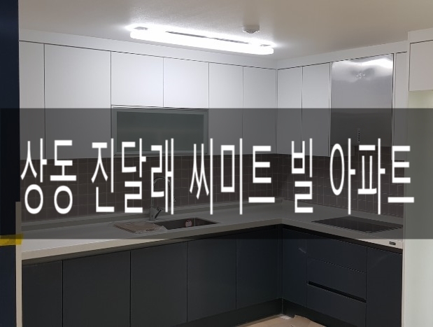 백조미트 이미지