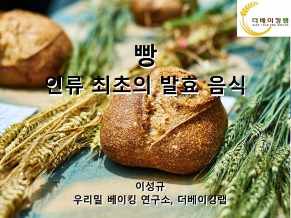 빵톡 이미지