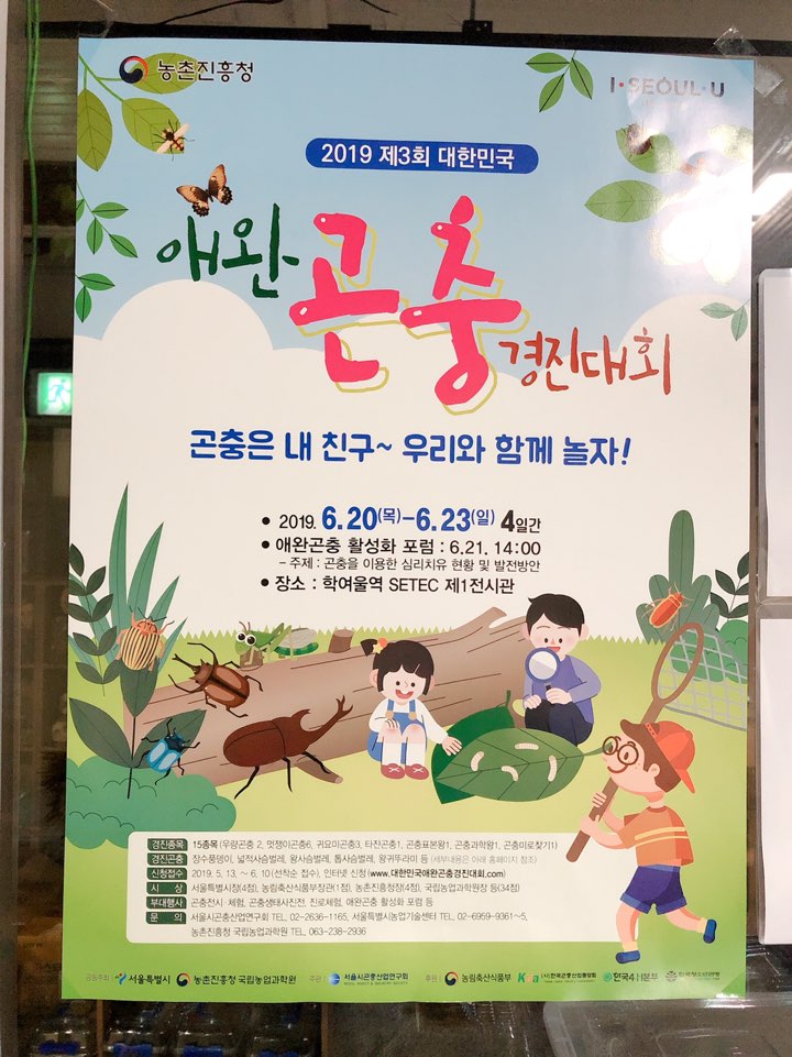 전주곤충캠퍼스 이미지