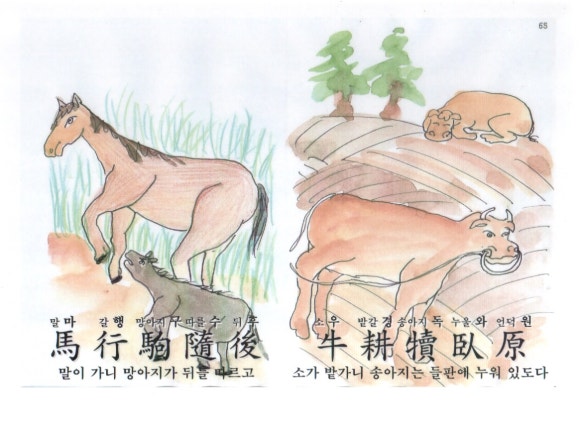 마행 이미지