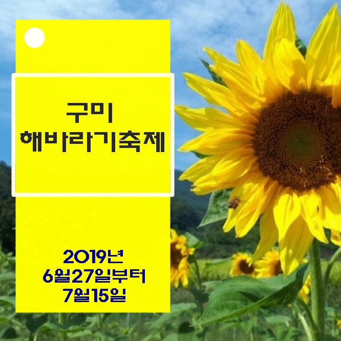 해바라기농산 이미지