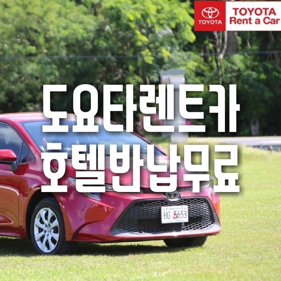 국도렌트카 이미지