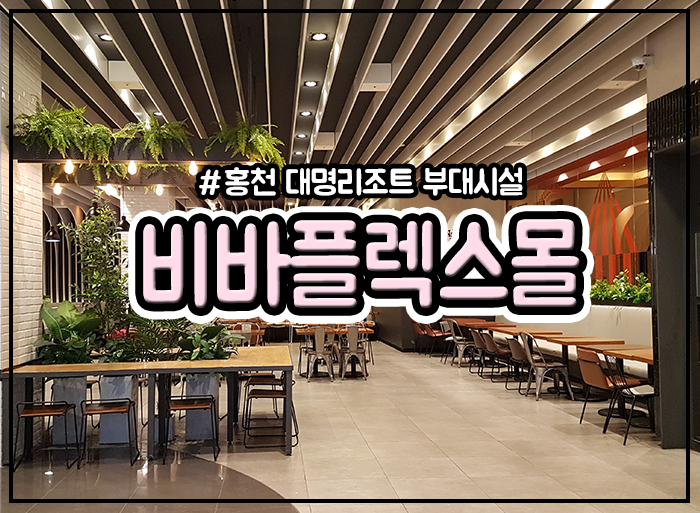 비바플렉스 이미지