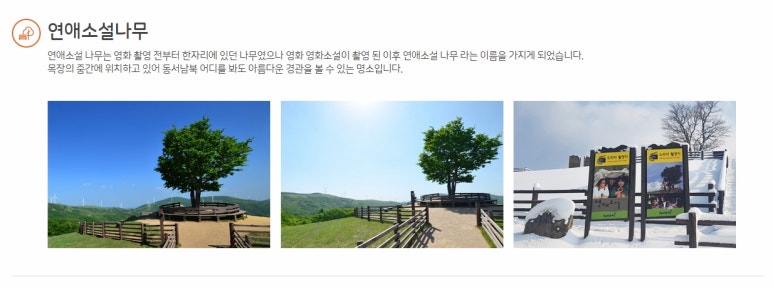 (주)경포아쿠아리움 이미지