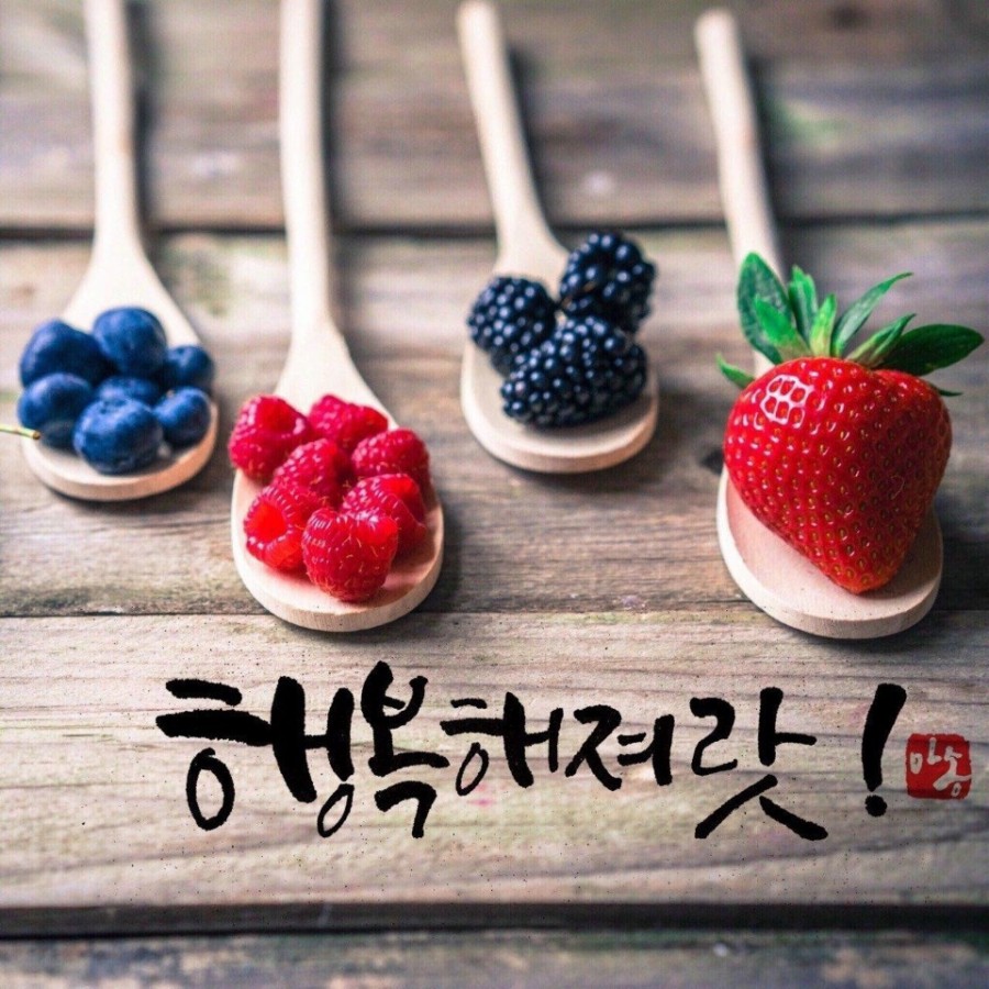 수안초등학교 이미지