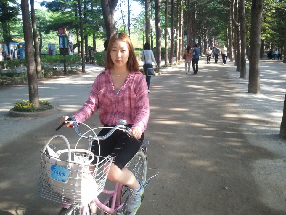 알파냉열 이미지