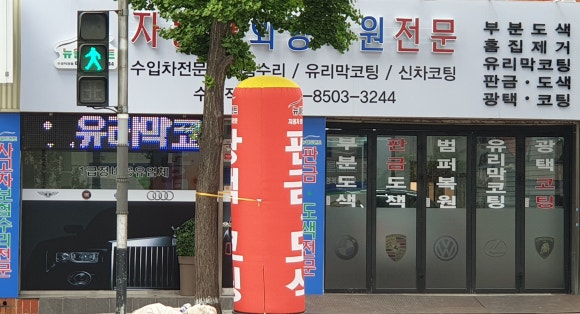 뉴월드덴트 이미지