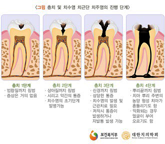 참서울치과의원 이미지