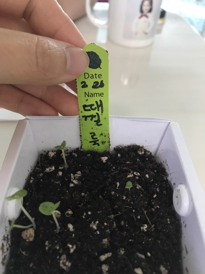 떼껄룩(TAKE A LOOK) 이미지