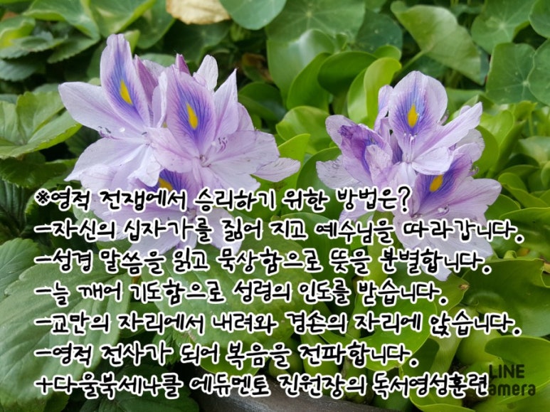 다울에듀 이미지