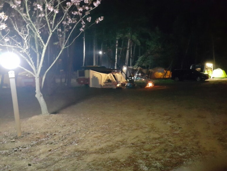 안면도힐링캠핑장 이미지