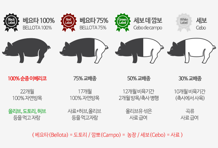 고기이야기 이미지