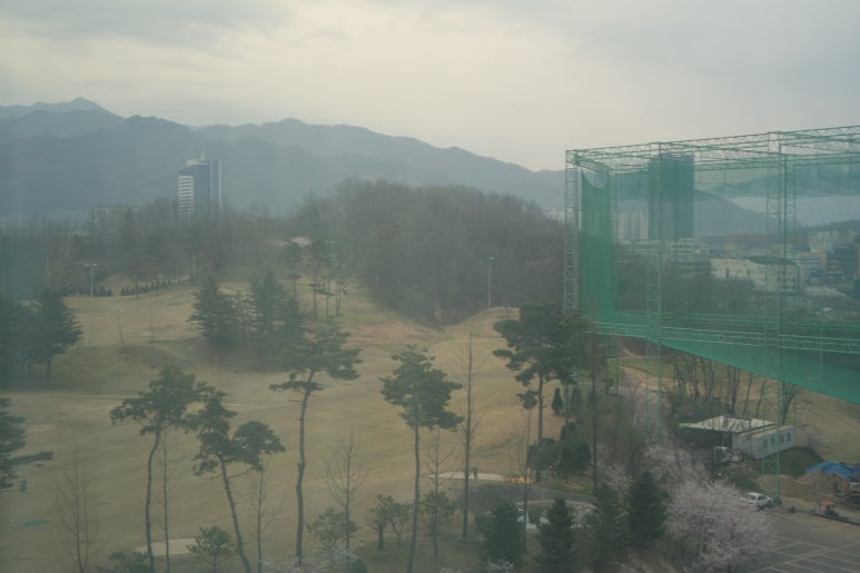 직지한식뷔페 이미지