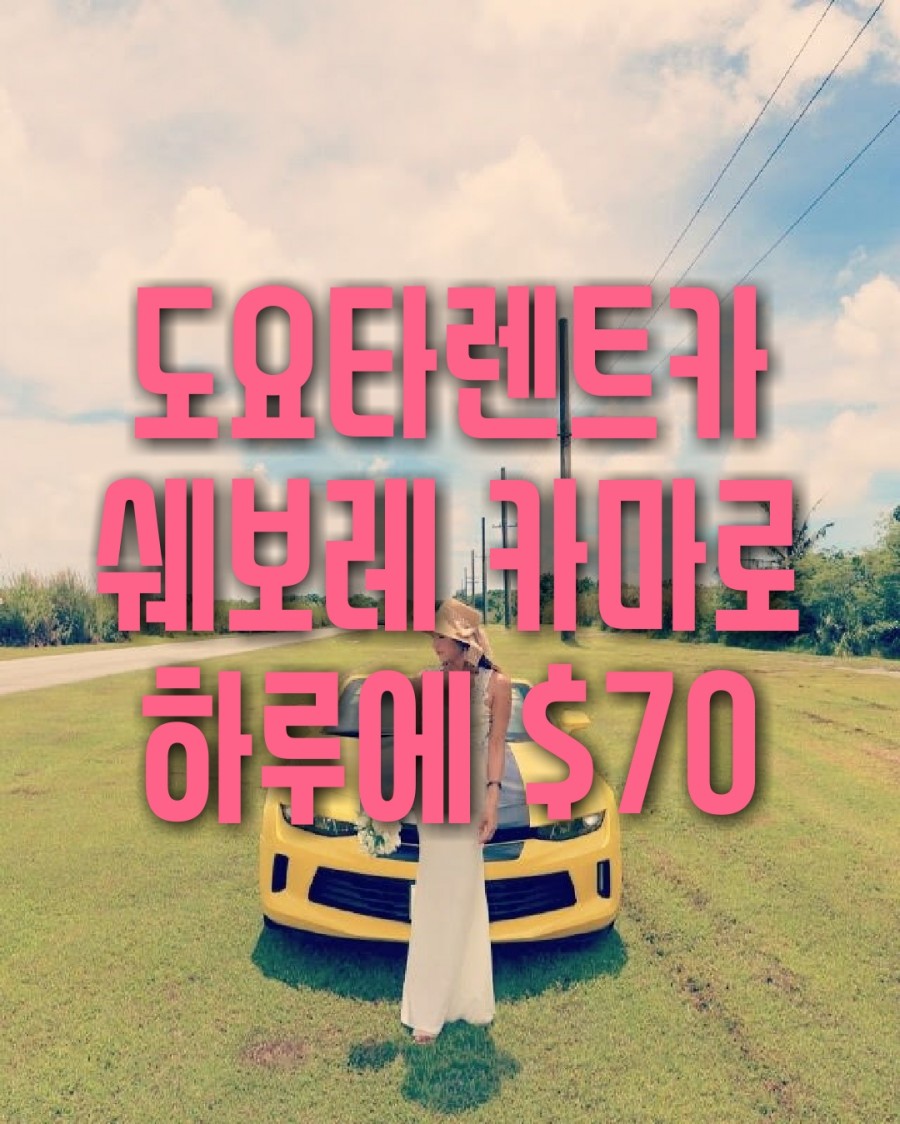 국도렌트카 이미지