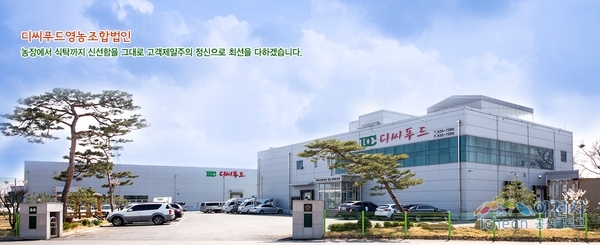 디씨유통 이미지