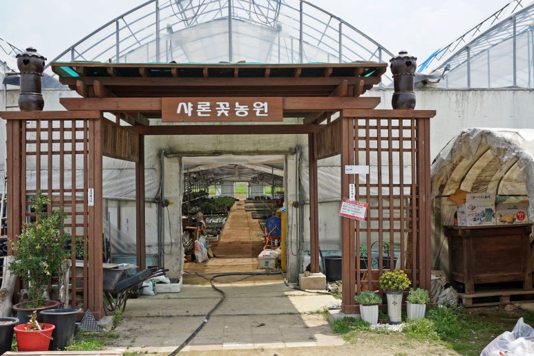 샤론꽃농장 이미지