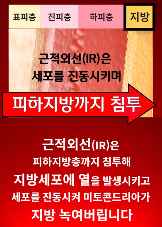 바이엔트 이미지