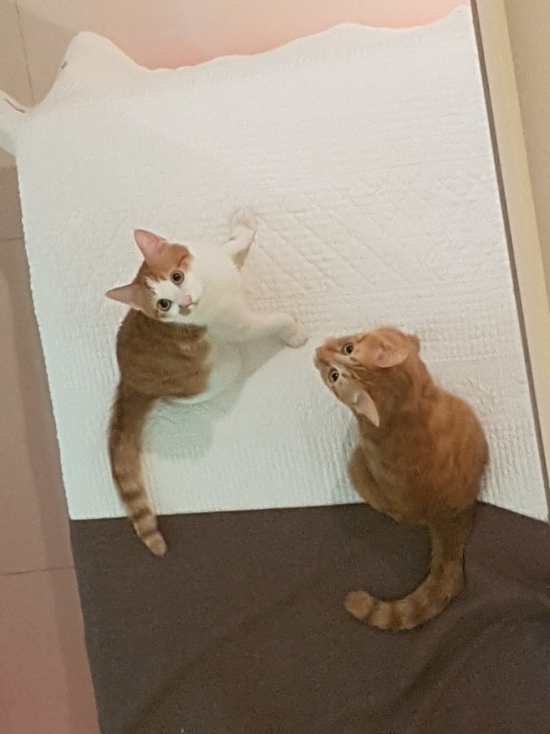 아리아무인호텔 이미지