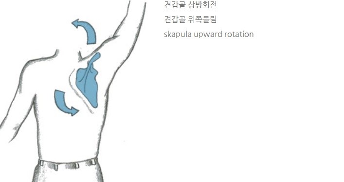 더블조이 이미지