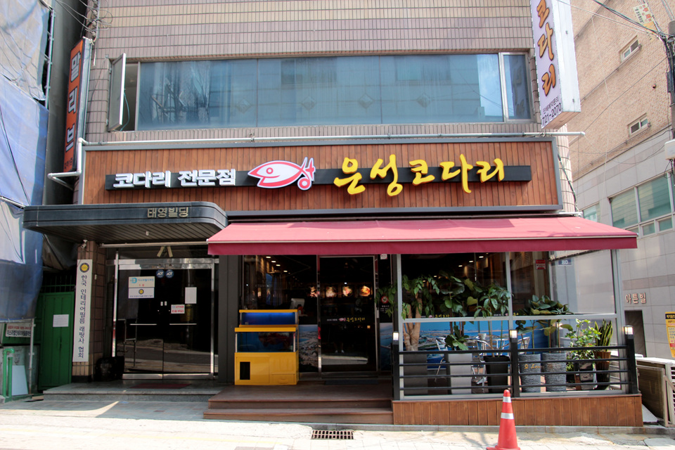 은성코다리 이미지