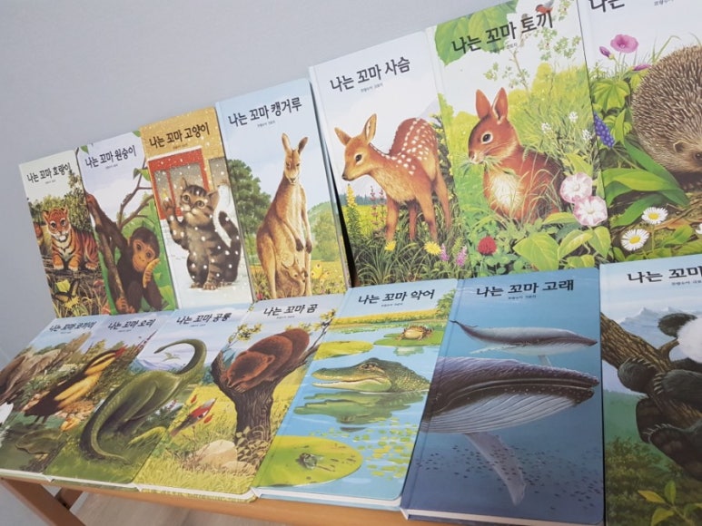 밤비니교육센터 이미지