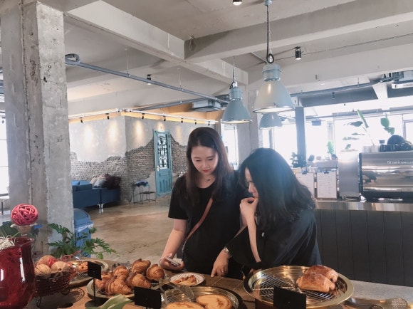 메그네이트 이미지