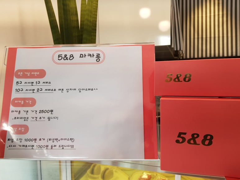 백오파스타 이미지