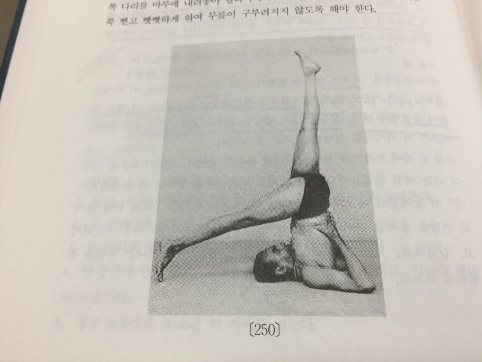 파르스 이미지